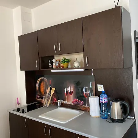 Royal Palm With Seaview